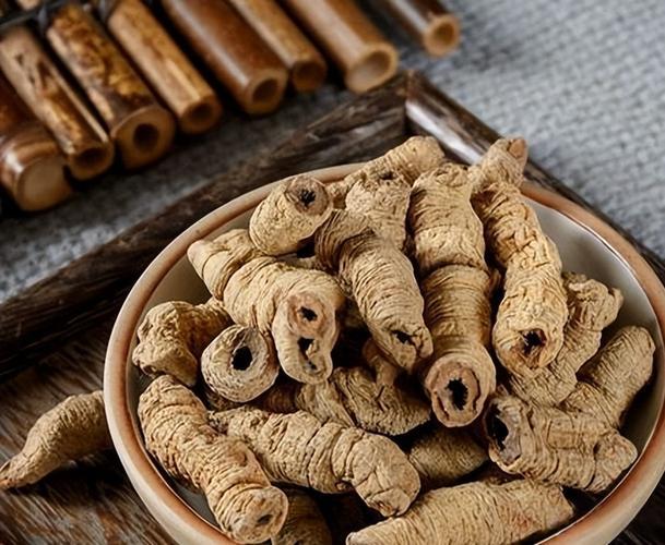 《黄帝内经》灵枢·邪气藏府病形